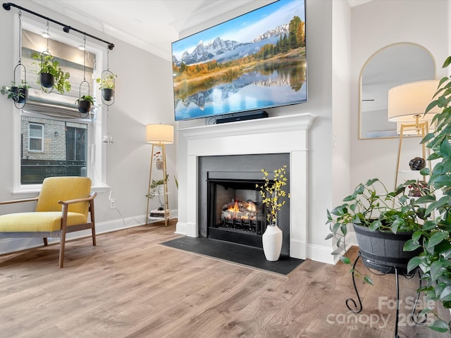 sitting room with wood finished floors, a fireplace with flush hearth, and baseboards