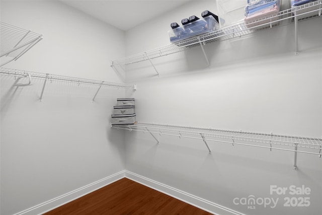 spacious closet with dark wood-style flooring