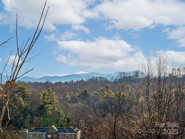 property view of mountains featuring a wooded view