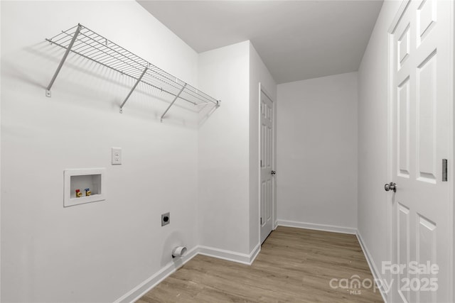 laundry area featuring light hardwood / wood-style floors, washer hookup, and electric dryer hookup