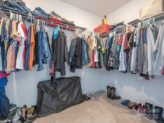 walk in closet with carpet