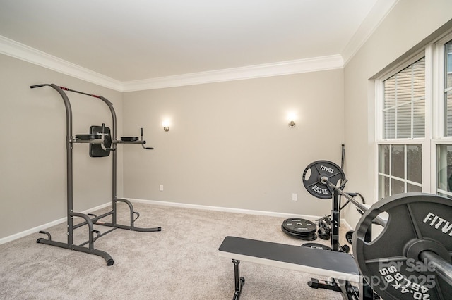 exercise area featuring baseboards, ornamental molding, and carpet floors