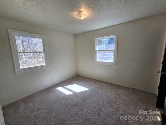 empty room featuring carpet flooring and a textured ceiling