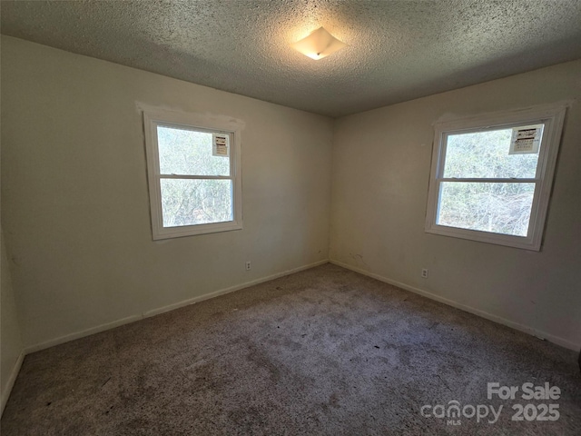 carpeted empty room with plenty of natural light and a textured ceiling