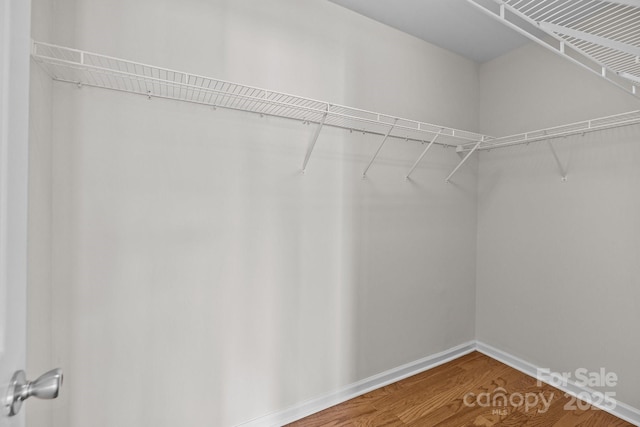 spacious closet with wood finished floors