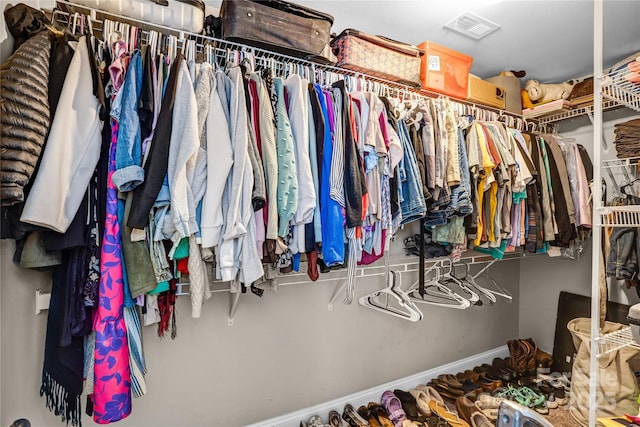 view of spacious closet