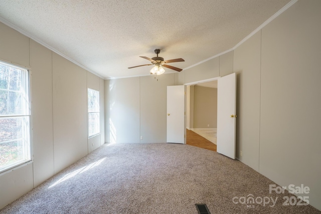 empty room featuring a wealth of natural light, a textured ceiling, carpet flooring, and ornamental molding