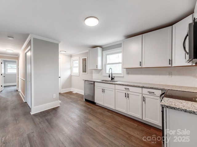 kitchen with ornamental molding, dark wood finished floors, a sink, and stainless steel dishwasher