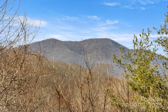 53 Hackberry Ln, Waynesville, NC 28785 - view of mountain background