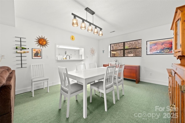 53 Hackberry Ln, Waynesville, NC 28785 - dining area featuring carpet and a textured ceiling