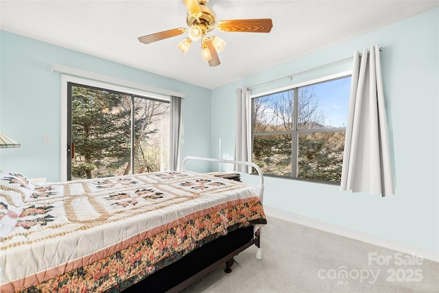 53 Hackberry Ln, Waynesville, NC 28785 - carpeted bedroom with ceiling fan