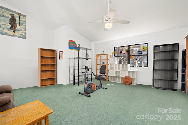 53 Hackberry Ln, Waynesville, NC 28785 - exercise area featuring carpet, vaulted ceiling, and a ceiling fan