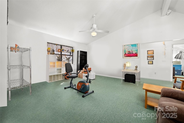 53 Hackberry Ln, Waynesville, NC 28785 - interior space with a ceiling fan, carpet flooring, and high vaulted ceiling