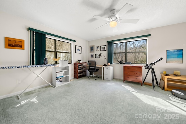 53 Hackberry Ln, Waynesville, NC 28785 - office featuring carpet floors and a ceiling fan