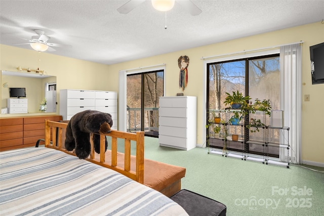 53 Hackberry Ln, Waynesville, NC 28785 - bedroom with multiple windows, a textured ceiling, and a ceiling fan