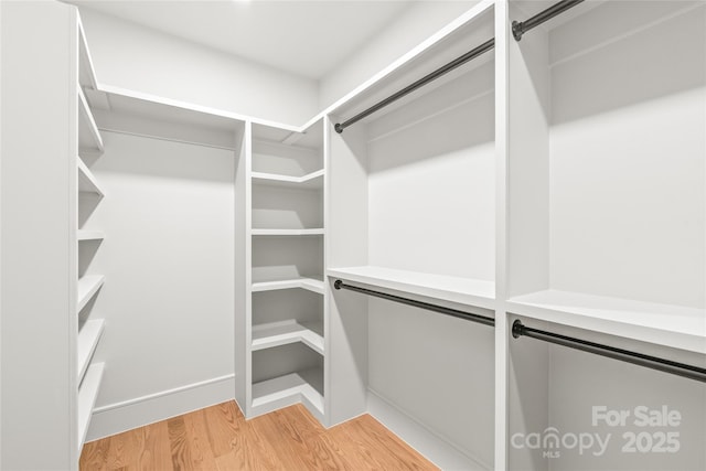 walk in closet with light wood-style flooring and a barn door