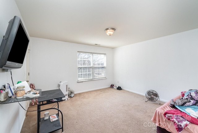 interior space featuring baseboards and carpet floors