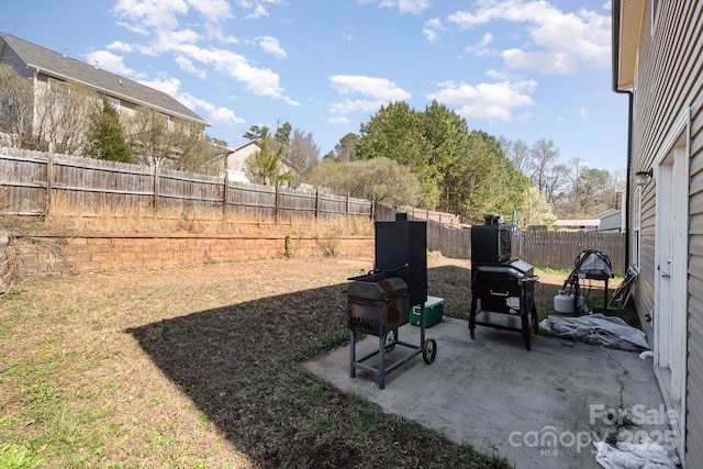 view of yard with a patio area and a fenced backyard