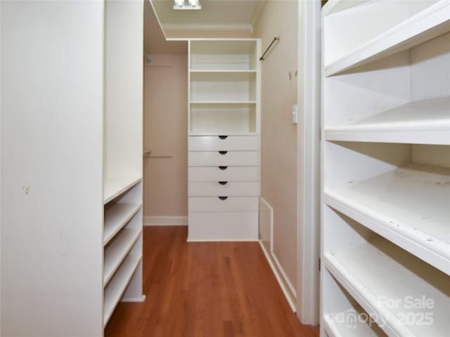 walk in closet with hardwood / wood-style flooring