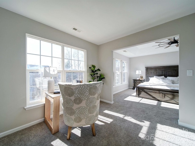 interior space featuring multiple windows and carpet