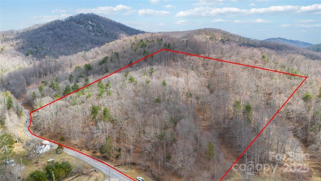 LOT3 Boone Gap Ln, Taylorsville NC, 28681 land for sale