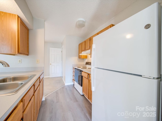 kitchen featuring light countertops, light wood-style floors, a sink, white appliances, and under cabinet range hood