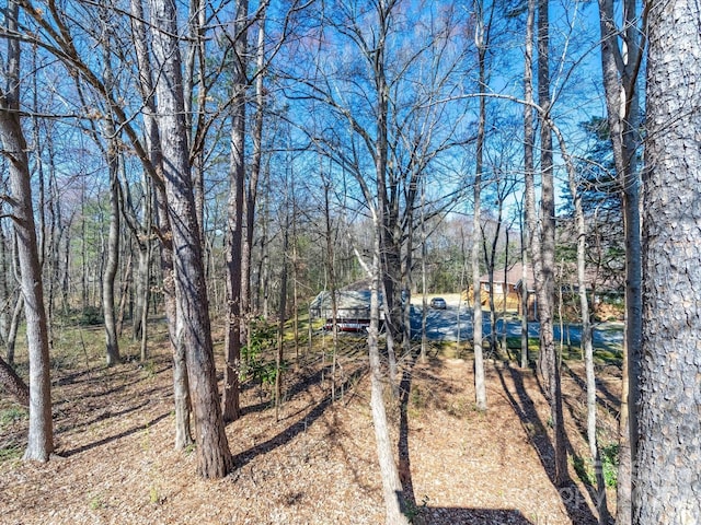 view of yard featuring a view of trees