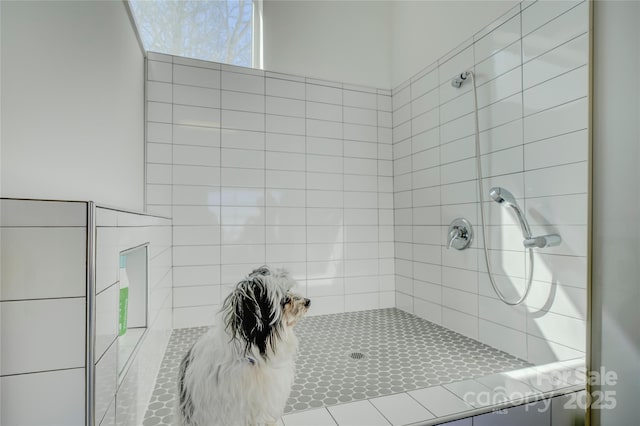 full bathroom with a tile shower