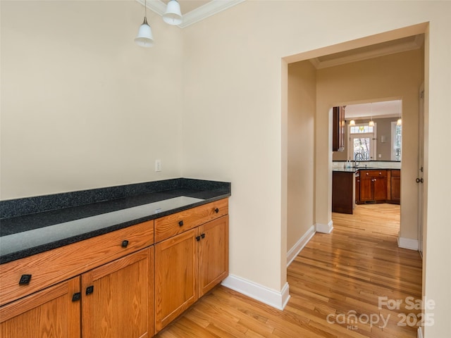 interior space featuring light hardwood / wood-style floors, crown molding, and sink