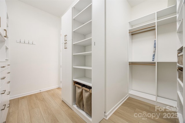 spacious closet with light wood-style flooring