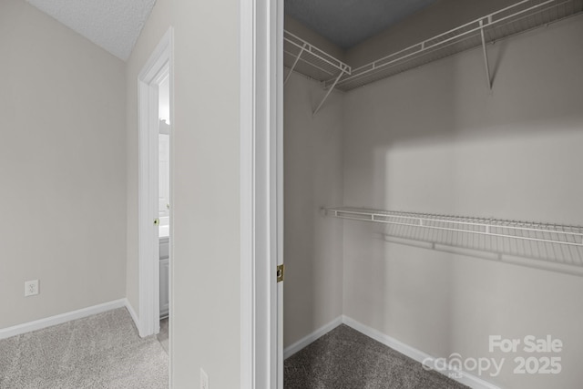 walk in closet with carpet floors