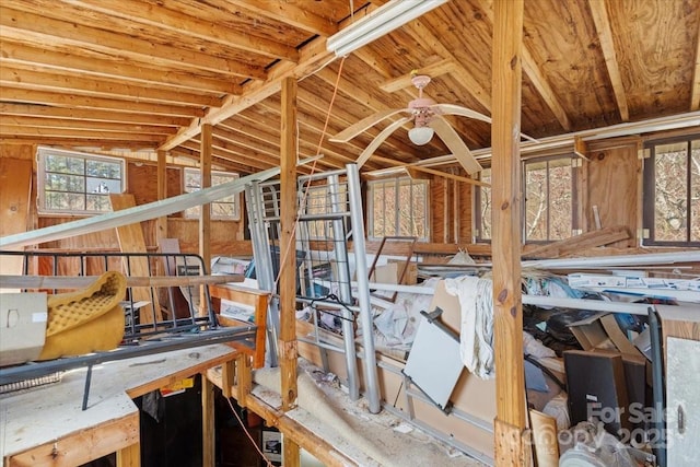 storage room featuring ceiling fan