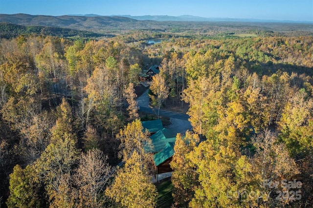 aerial view with a mountain view