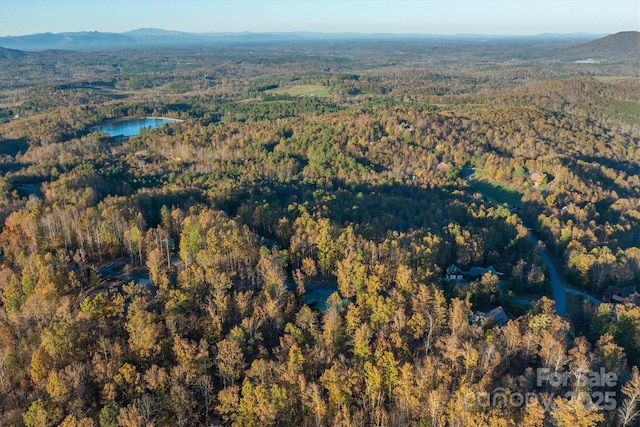 birds eye view of property featuring a water and mountain view