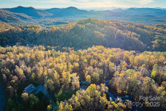 drone / aerial view with a mountain view