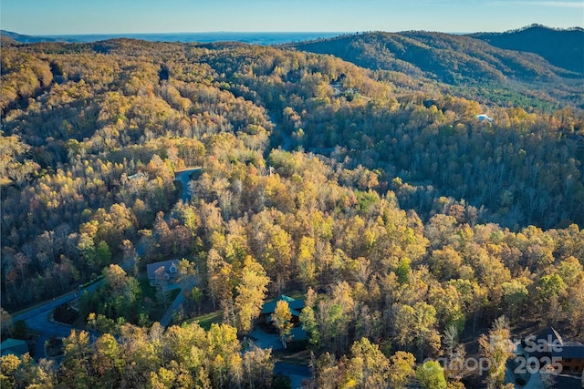 bird's eye view with a mountain view