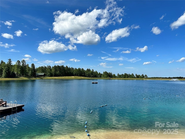 water view featuring a boat dock