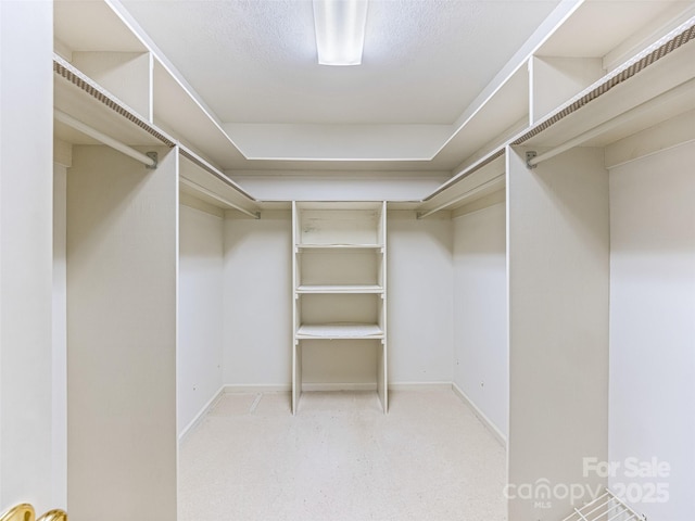 view of spacious closet