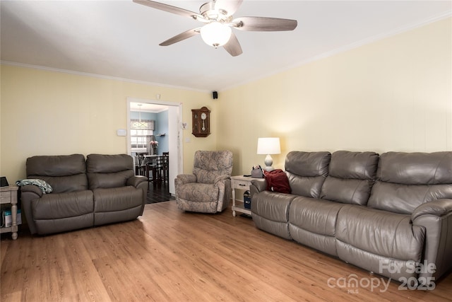 living room featuring light wood-style floors, ceiling fan, and ornamental molding