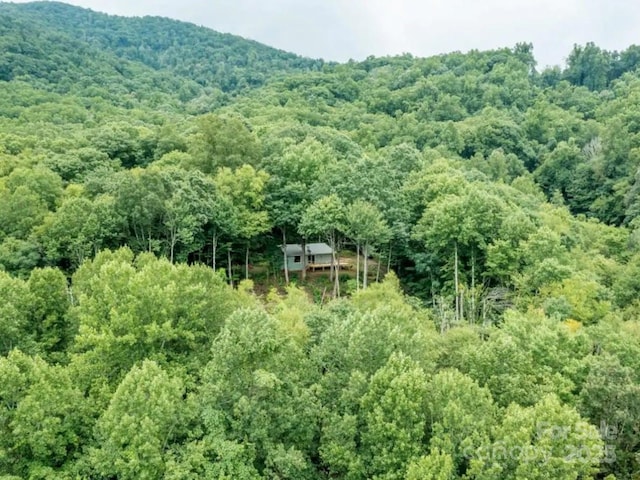 property view of mountains featuring a wooded view