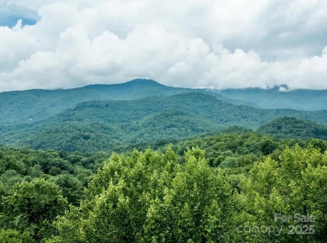 mountain view with a wooded view