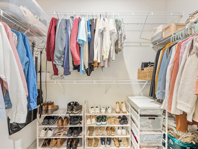 4010 Citra Ln, Charlotte, NC 28217 - view of spacious closet