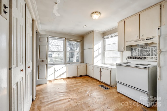 kitchen featuring ornamental molding, white appliances, and light hardwood / wood-style flooring