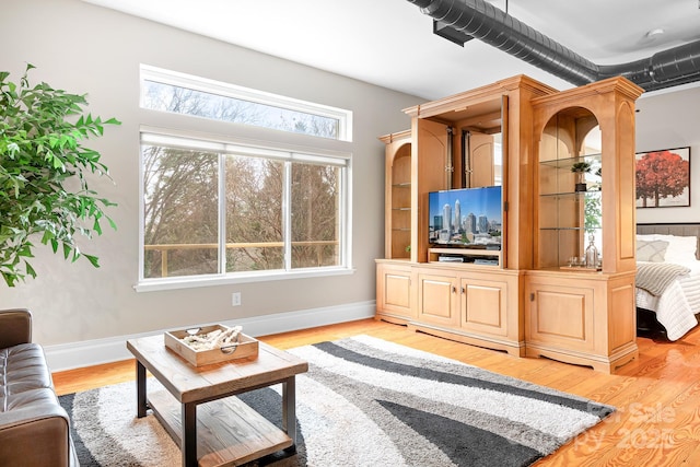 living room with light wood-type flooring