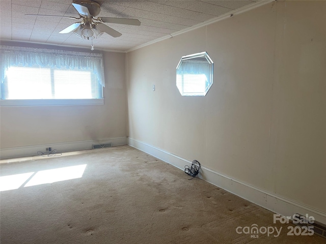 carpeted empty room with baseboards, visible vents, ornamental molding, and a ceiling fan