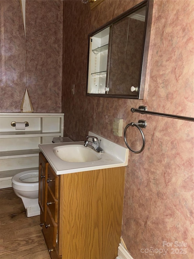 bathroom with vanity, toilet, and wood finished floors