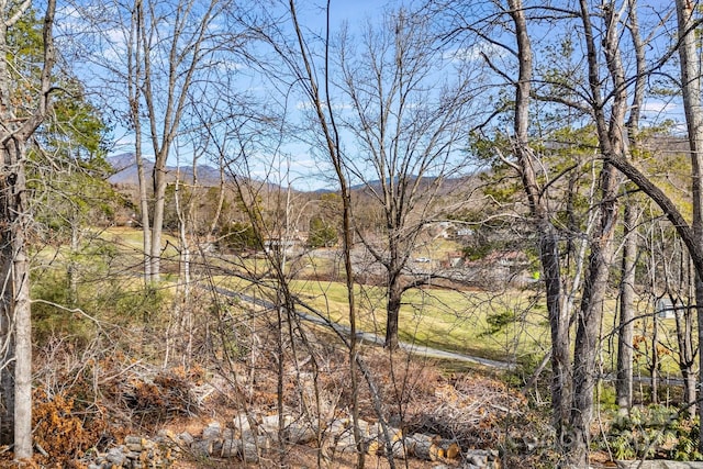 view of landscape featuring a mountain view