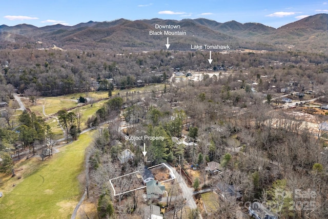 birds eye view of property featuring a mountain view