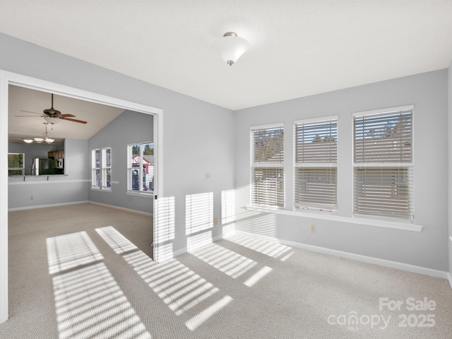 2302 Deermouse Way, Hendersonville, NC 28792 - empty room featuring a wealth of natural light, light carpet, and baseboards