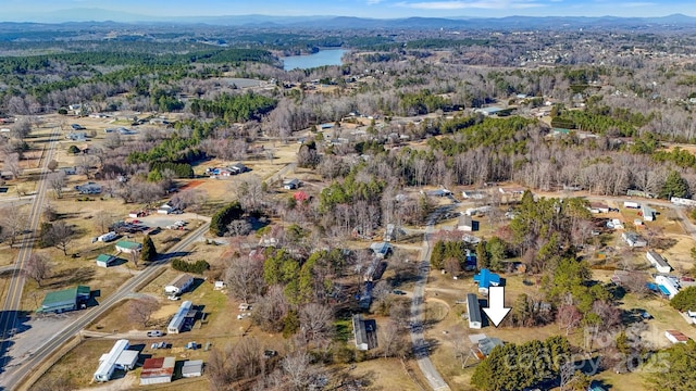 aerial view with a forest view and a mountain view